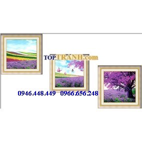Tranh gắn đá hoa oải hương